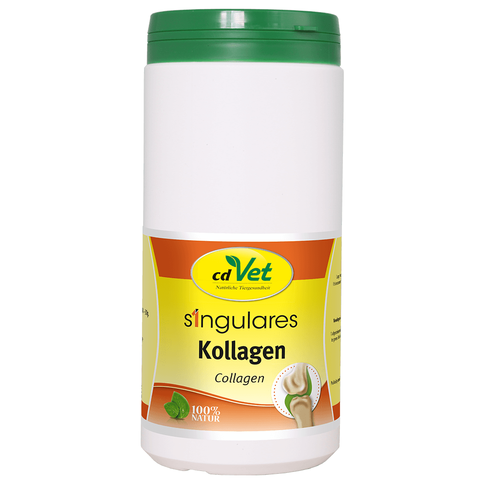 CdVet Singulares Kollagen