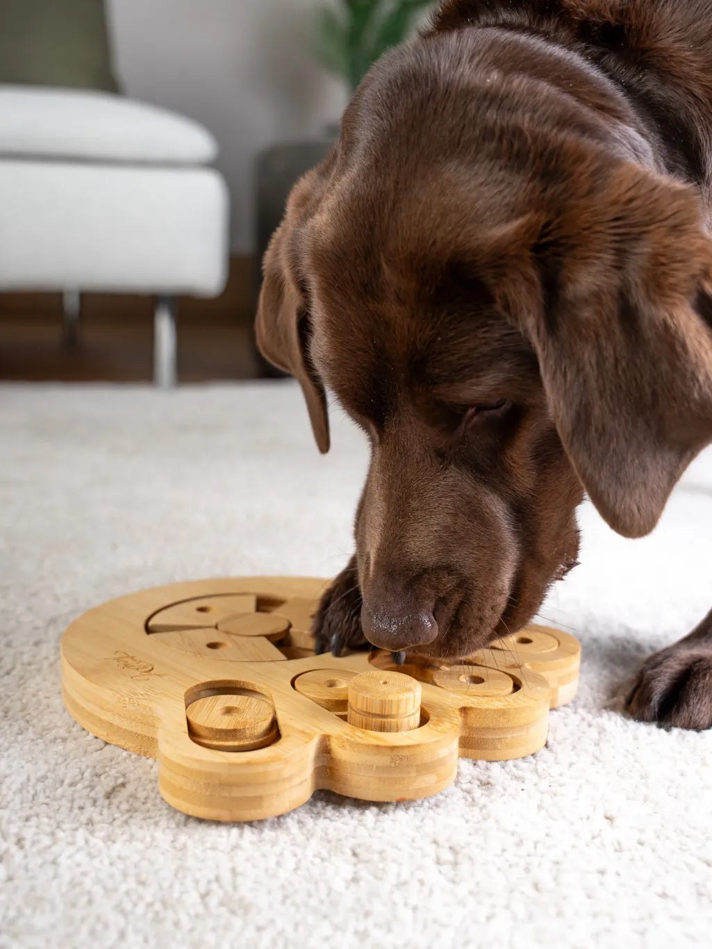 Trendpet Intelli- Intelligenzspielzeug aus Bambus