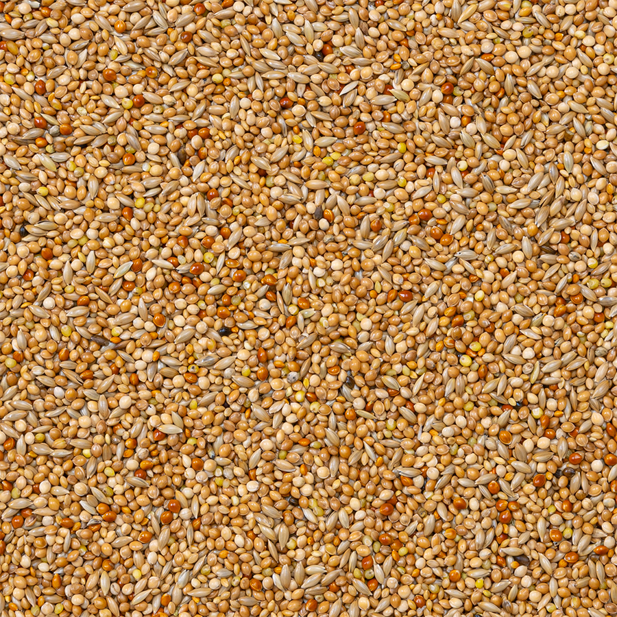 Beyers Deli Nature 40-Exoten Basis 20 kg