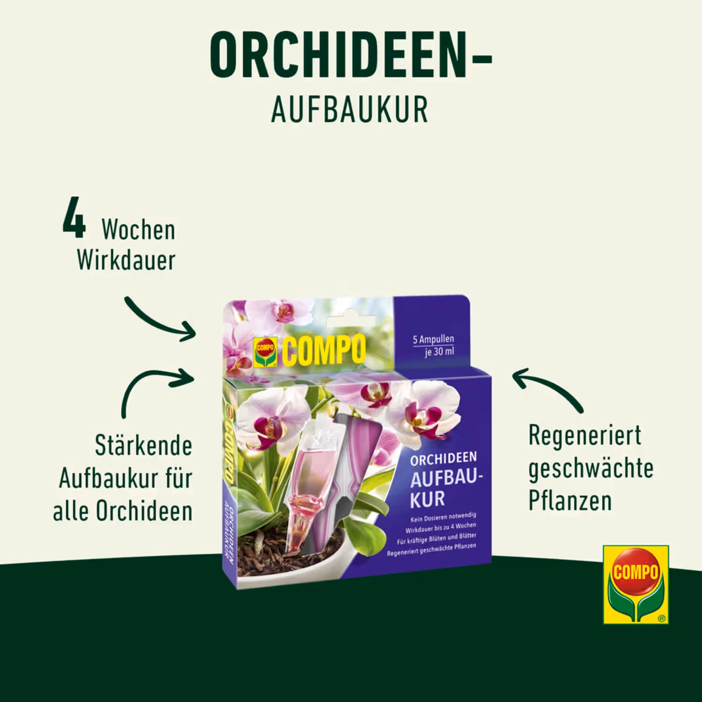 Compo Orchideen-Aufbaukur 30 ml