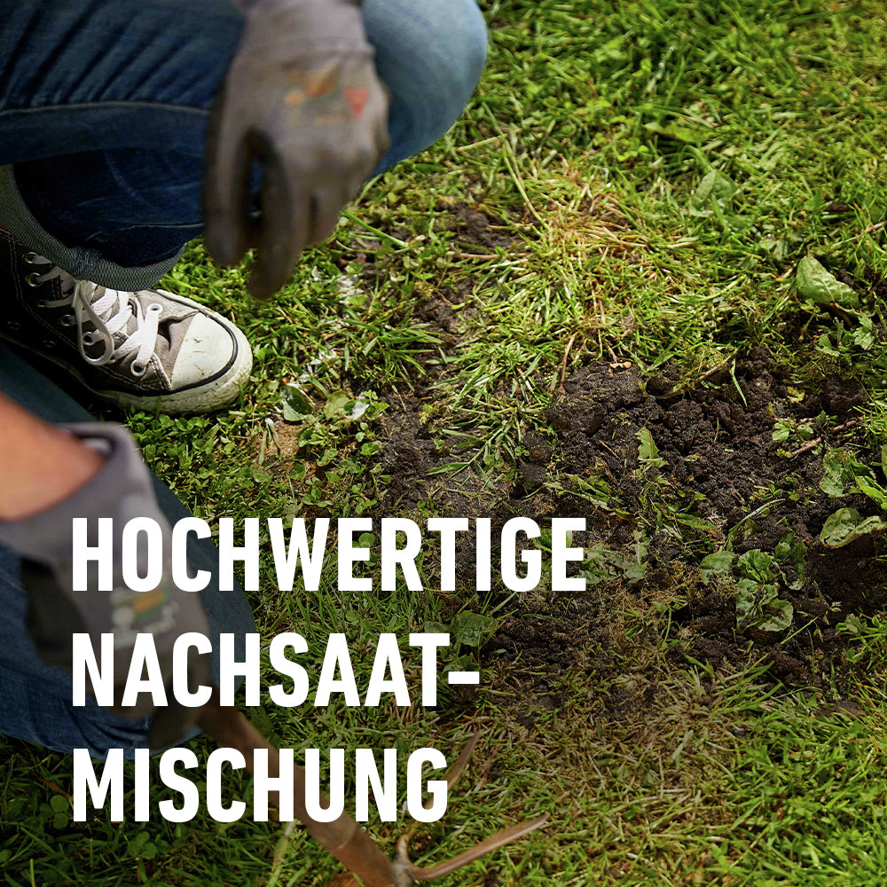 Compo SAAT® Overseeding Lawn