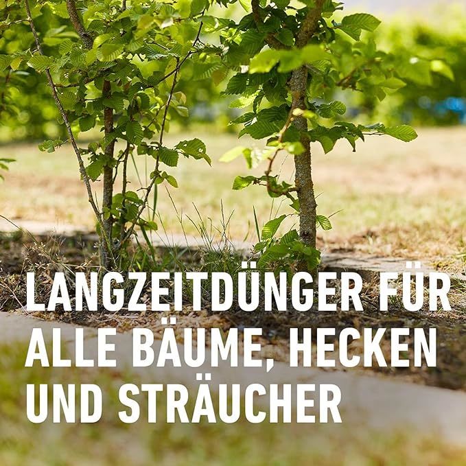 Compo Bäume, Sträucher, Hecken Langzeitdünger 2 kg