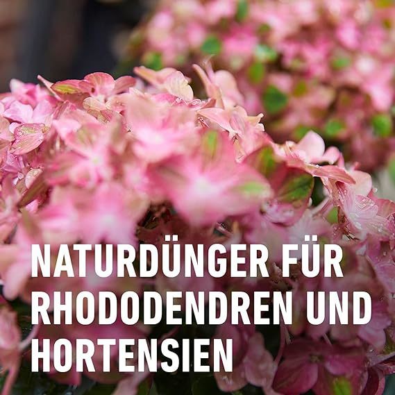 Compo BIO Rhododendron- und Hortensien Langzeit-Dünger mit Schafwolle