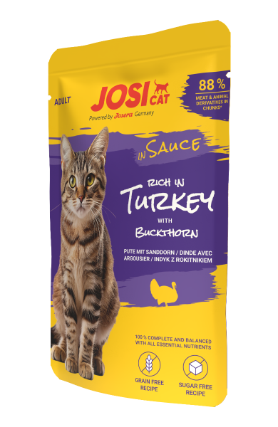 katze, beute, josicat, cauce, truthahn, sanddorn, nassfutter