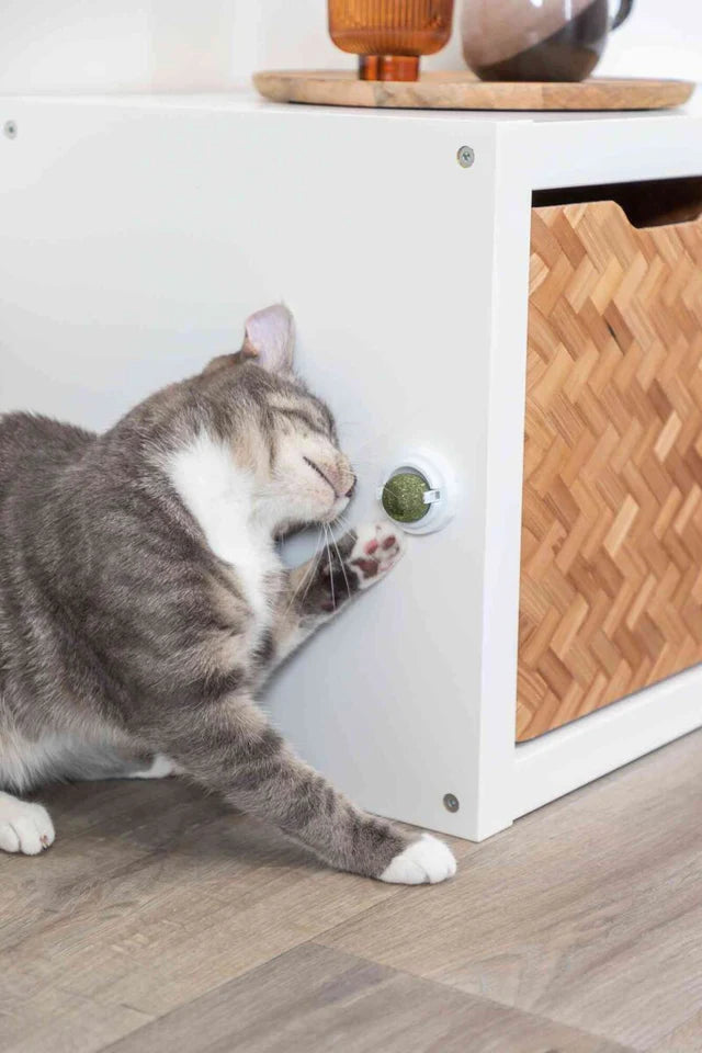 Trixie Katzenminze Ball mit Halterung
