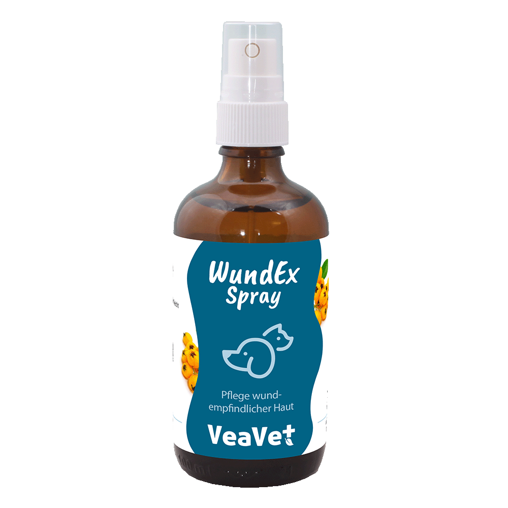 cdVet VeaVet WundEx Spray