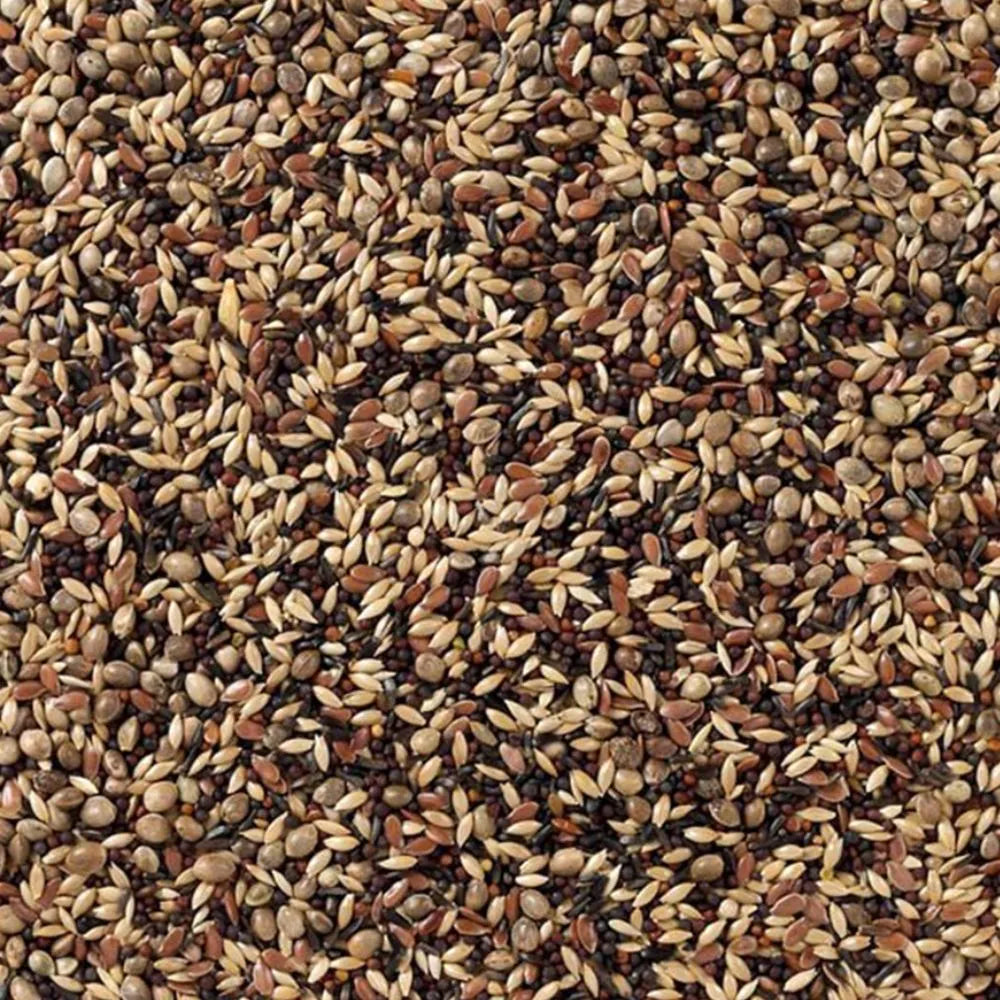 Beyers Deli Nature 48-Zeisige & Stieglitze 20 kg
