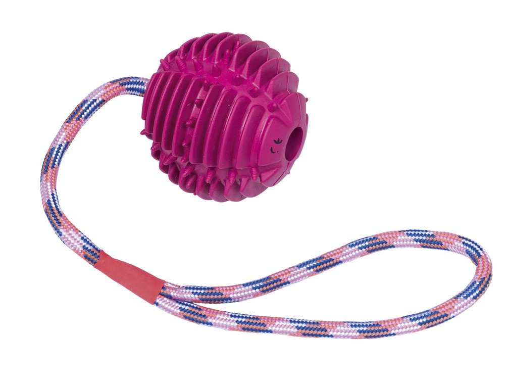 Nobby Vollgummi Ball mit Seil