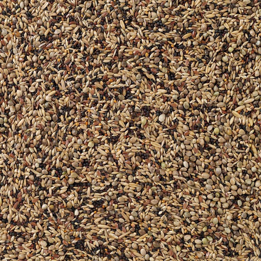 Beyers 91-Waldvogel 20 kg