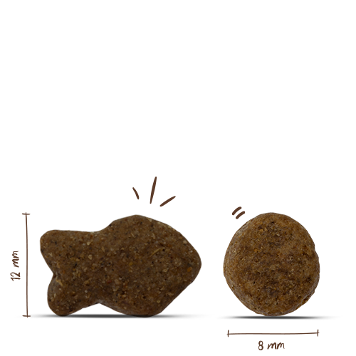Bosch Adult Fisch+Kartoffel