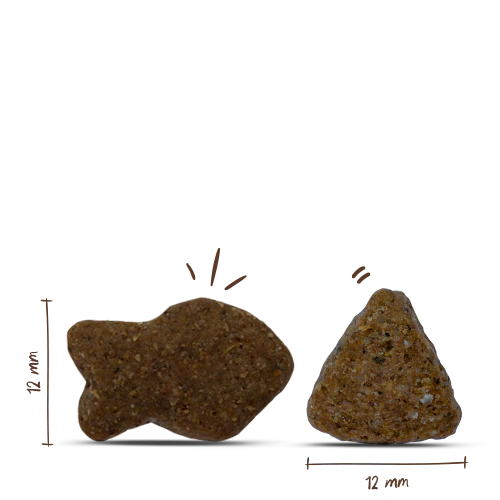 Bosch Adult Salmon+Potato