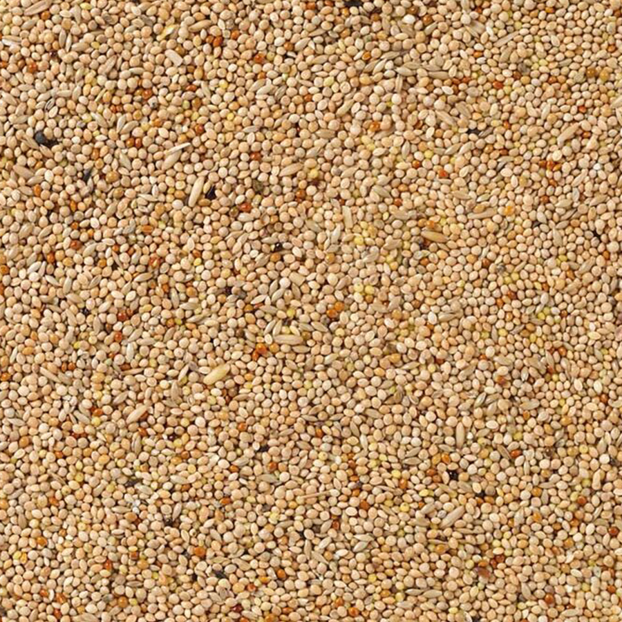 Beyers Deli Nature 51-Wellensittiche Basis 20 kg