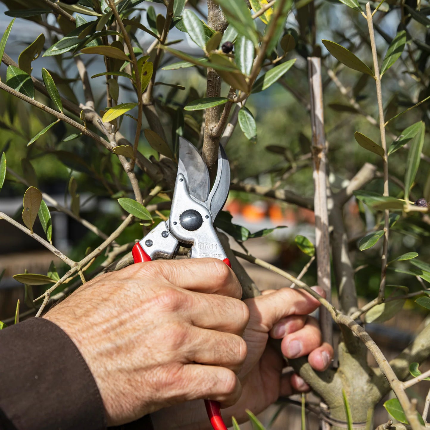Felco 11 One-Hand Pruning Shears - High Performance - Classic Model, New Generation