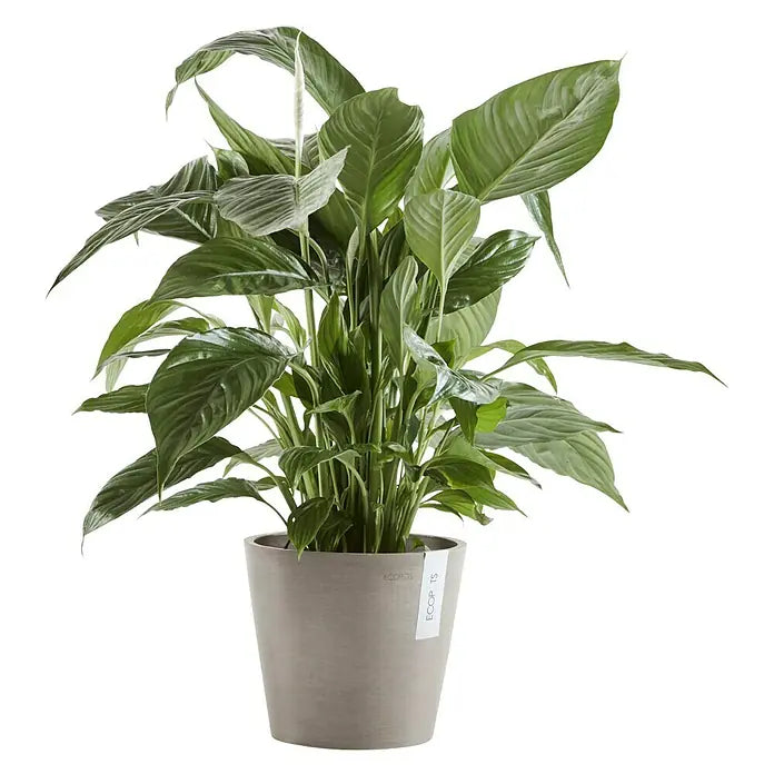 Ecopots Pflanztopf Amsterdam
