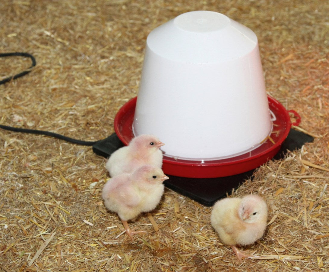 Kerbl Rubber Heating Plate for Poultry Waterers