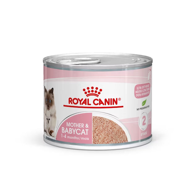 Royal Canin FHN Mother & Babycat Loaf Can