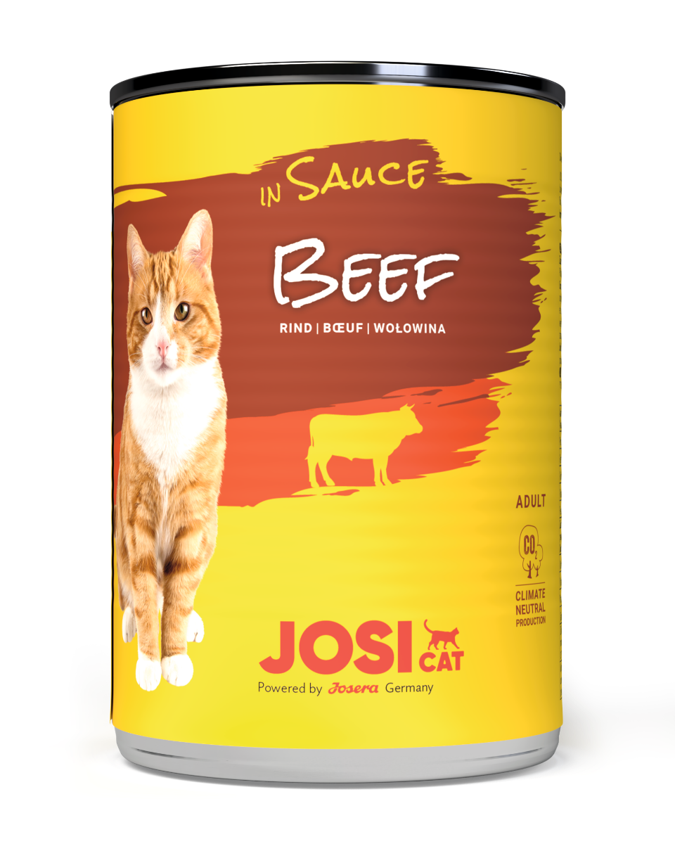 JosiCat Beef in Sauce