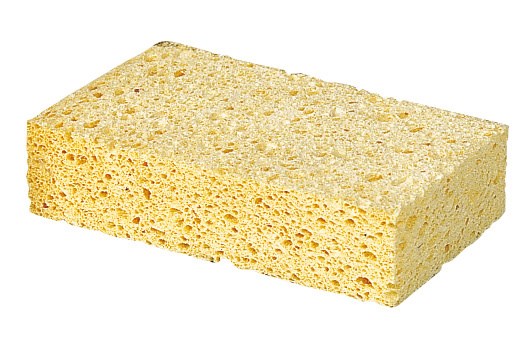 Kerbl Schwamm