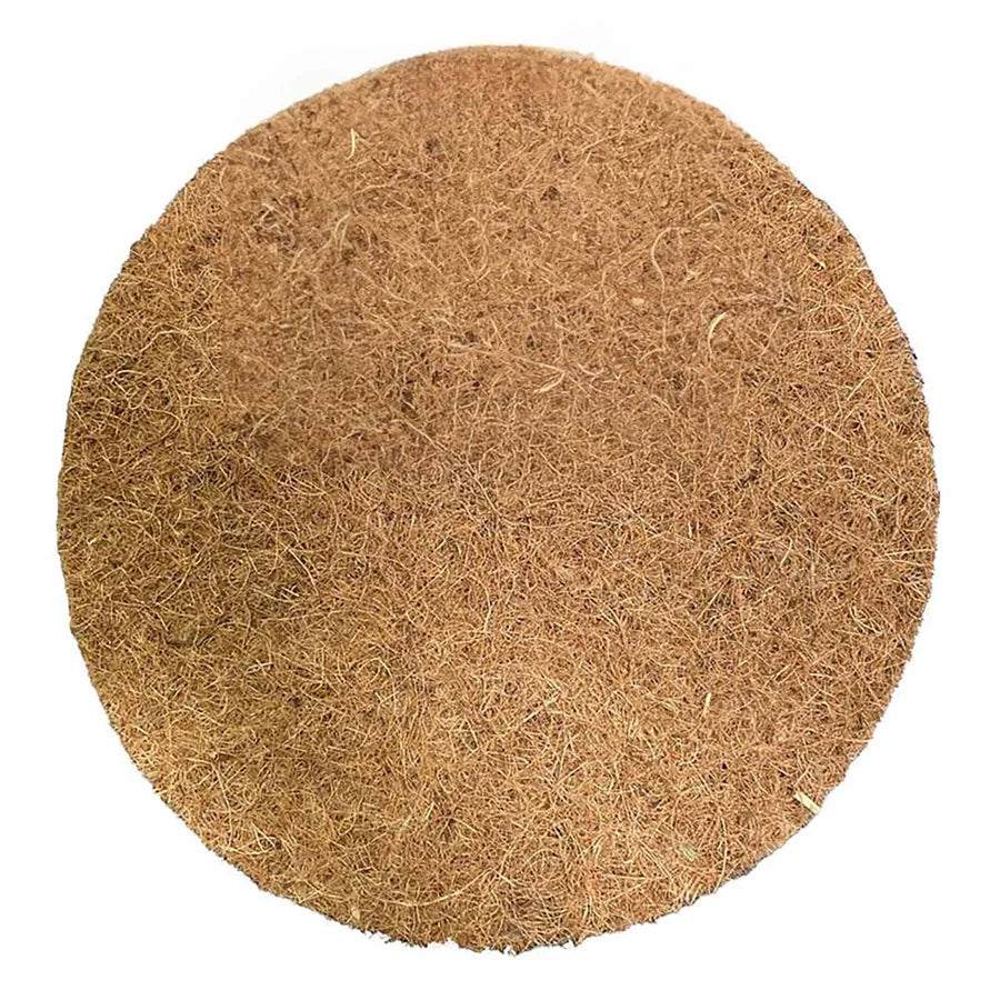 Noor Coconut Slice
