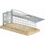 Luna Live Mouse Trap