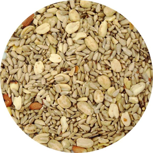 My Bird Meisenfutter-Mix Terrasse 2,5kg