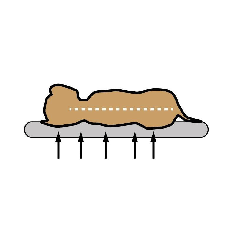 Petlando Ottawa Ortho orthopädisches Hundebett