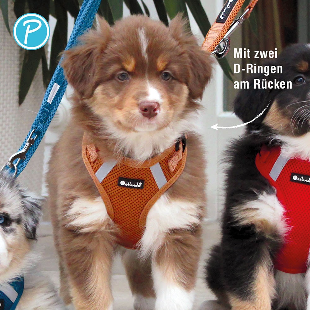 Petlando Mesh Vest Hundegeschirr