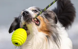 Petlando Ruffies Wurfball
