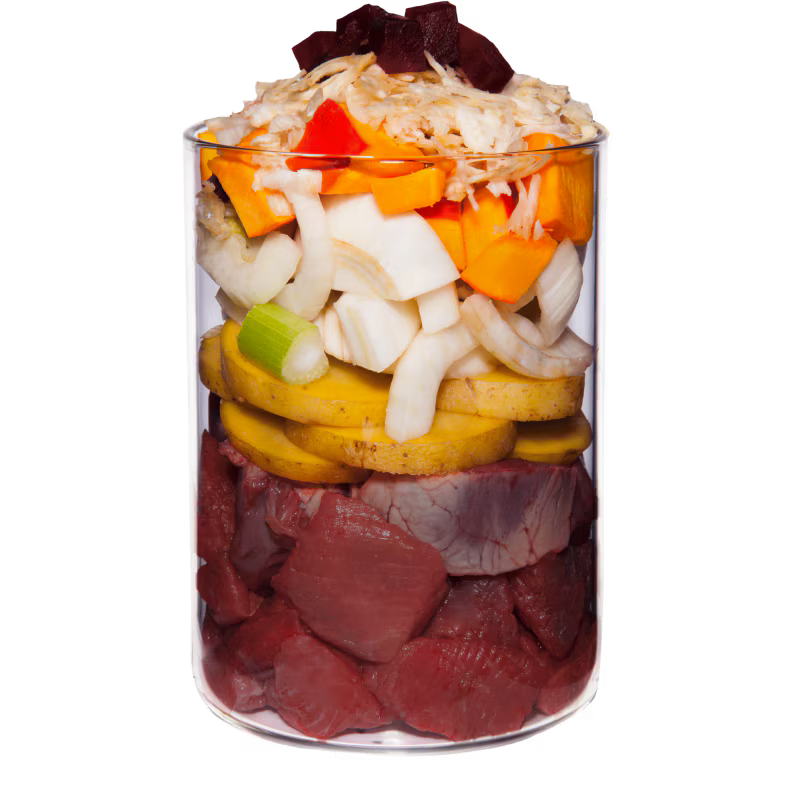 Terra Canis Pferd+Steckrübe+Fenchel+Salbei / getreidefrei