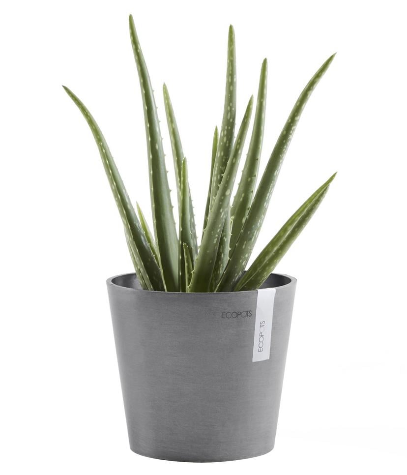 Ecopots Pflanztopf Amsterdam Mini