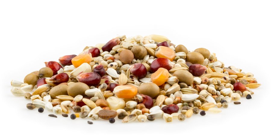 mifuma Power-Mix