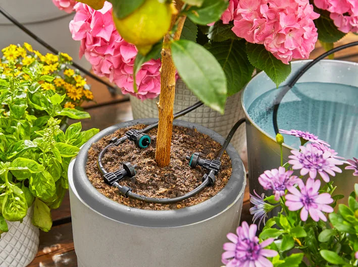 Solar-Powered AquaBloom Set