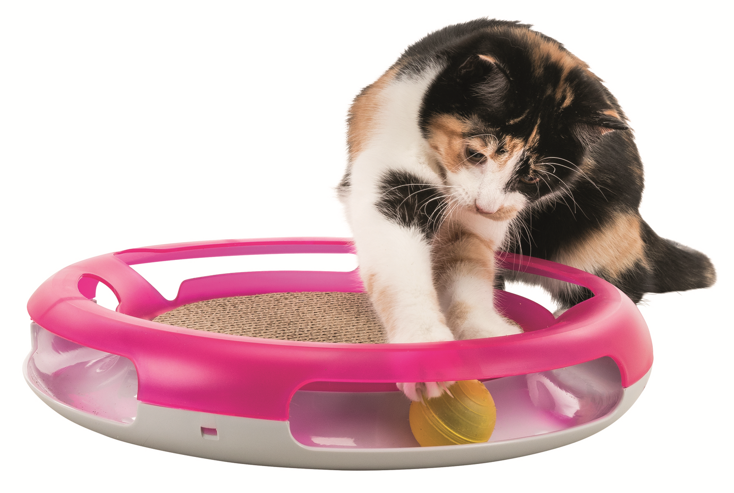 Trixie Katzen Spielplatte Race & Scratch ø 37 cm