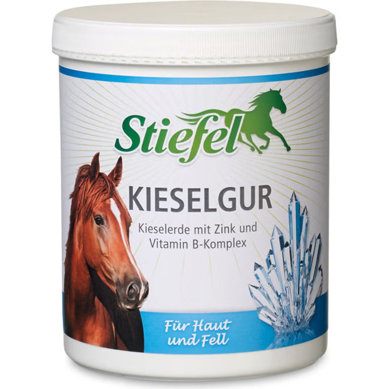 Stiefel Kieselgur 1 kg