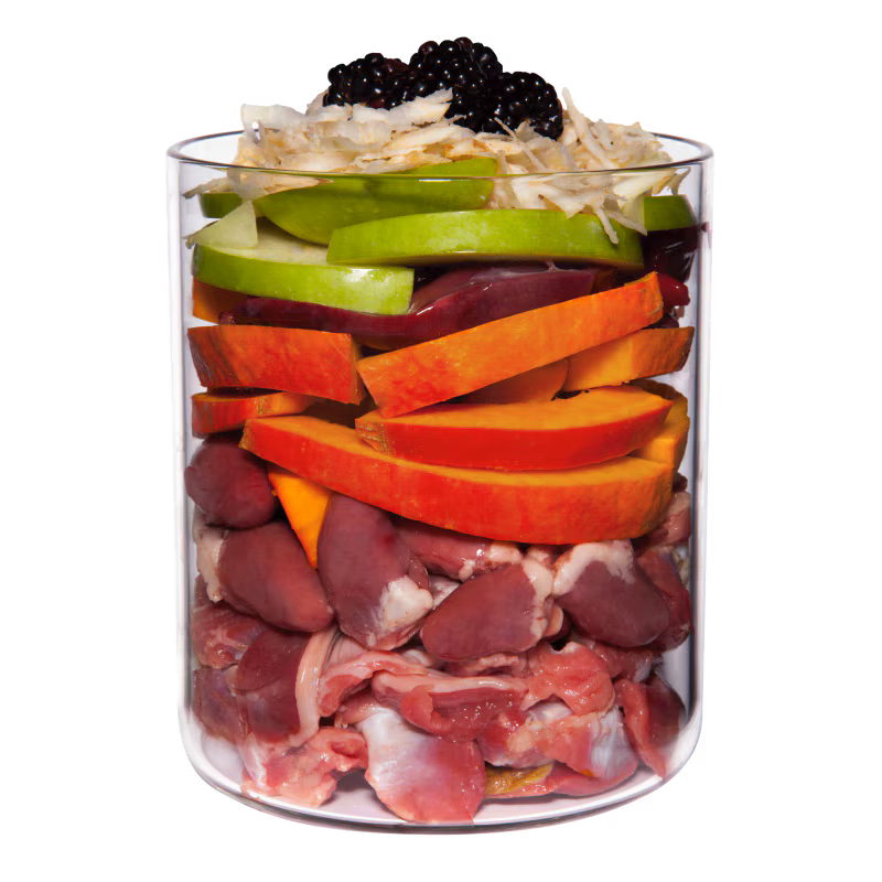 Terra Canis Grain-Free Huhn mit Pastinake