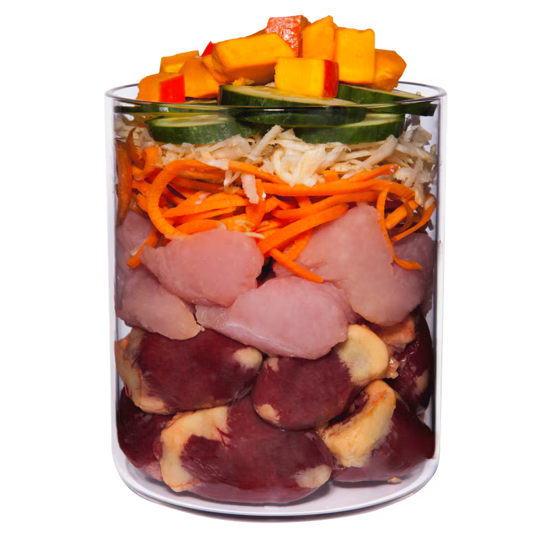 Terra Canis Turkey with Celery, Pumpkin & Watercress