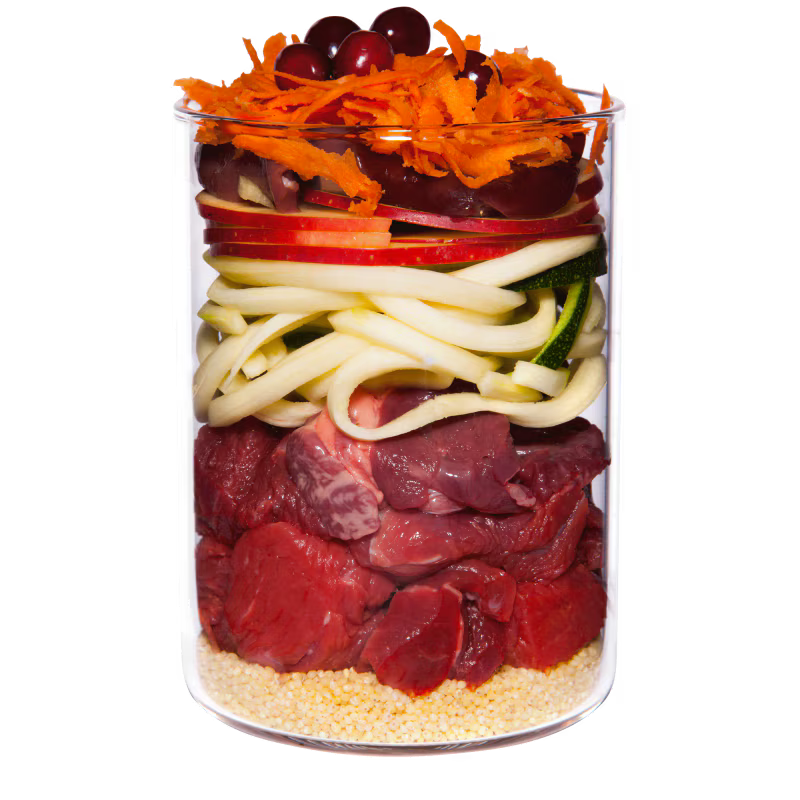 Terra Canis Puppy Beef, Apple, Carrot and Rosehip
