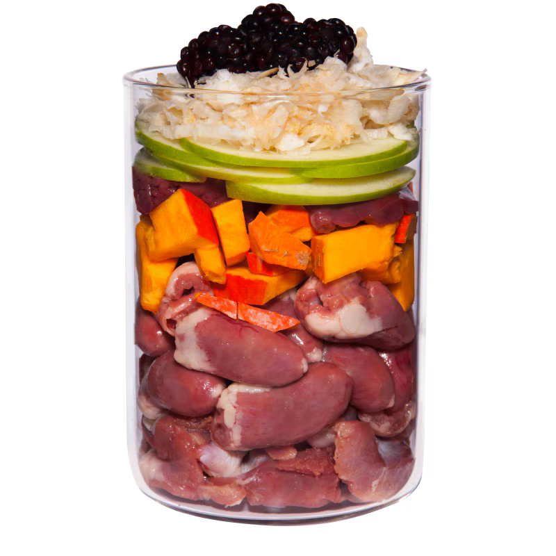 Terra Canis Huhn+Pastinaken+Brombeeren+Löwenzahn / getreidefrei