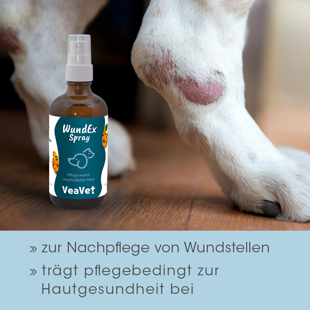cdVet VeaVet WundEx Spray