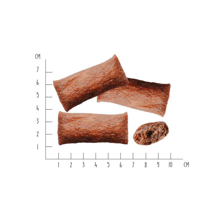 VegDog Dentals Tapioka & Rote Beete