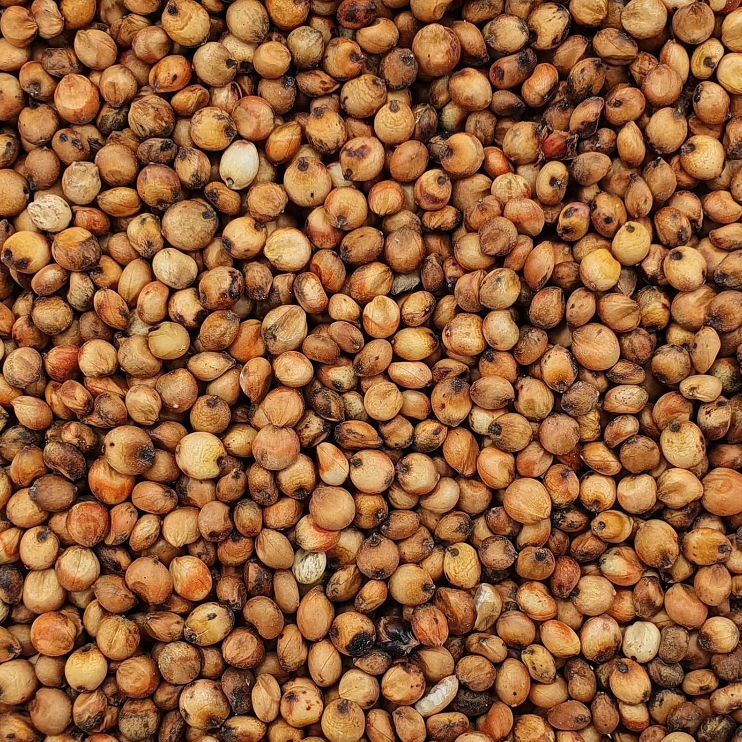 Versele-Laga Milo Vogelfutter 25 kg