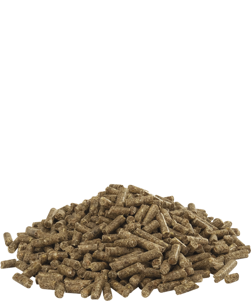 Versele Laga Austru 4 Pellet 20 kg