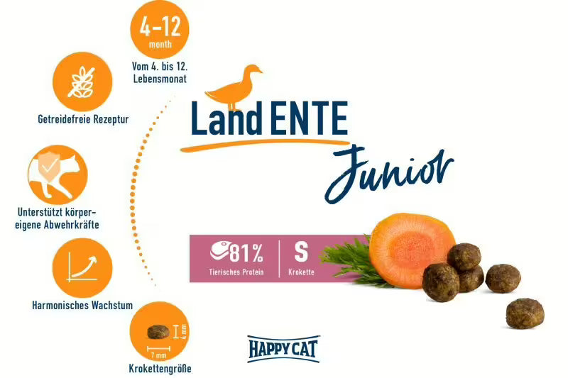 Happy Cat Young Junior Land Ente