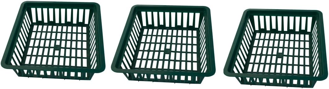 Bulb Planting Tray, Plastic, 28.5 x 26 cm, 3 Pieces, Green