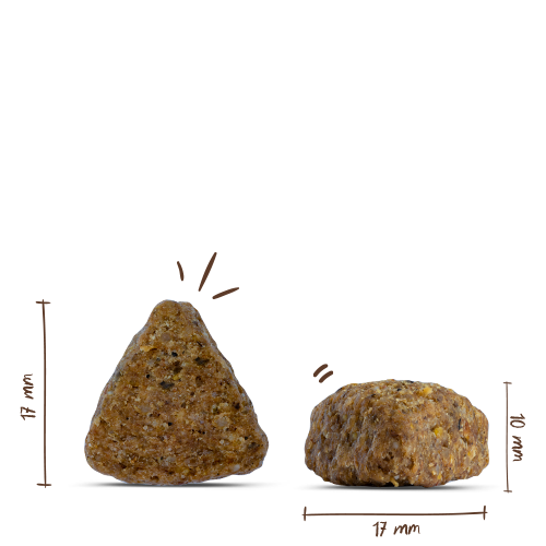 Bosch Adult Duck+Rice