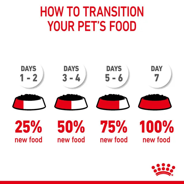 Royal Canin FCN Digestive Care Gravy