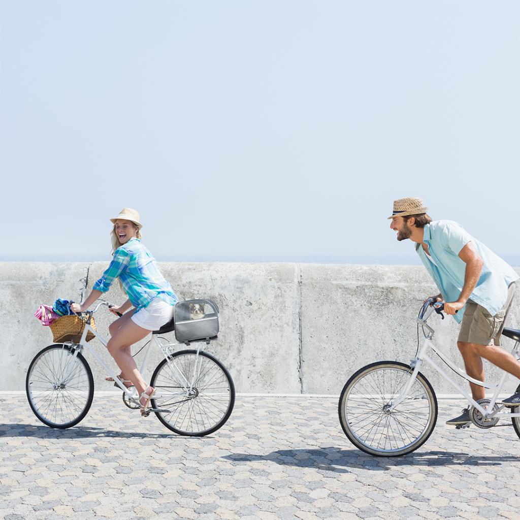 Duvo Plus Bicycle Rack Dog Bag