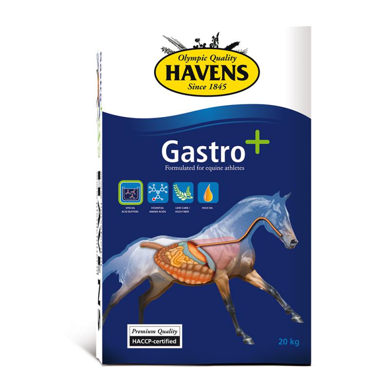 Havens Gastro plus