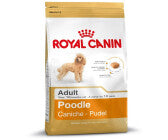 Royal Canin Poodle Adult