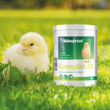 Röhnfried Kükenglück 2.0 550 g